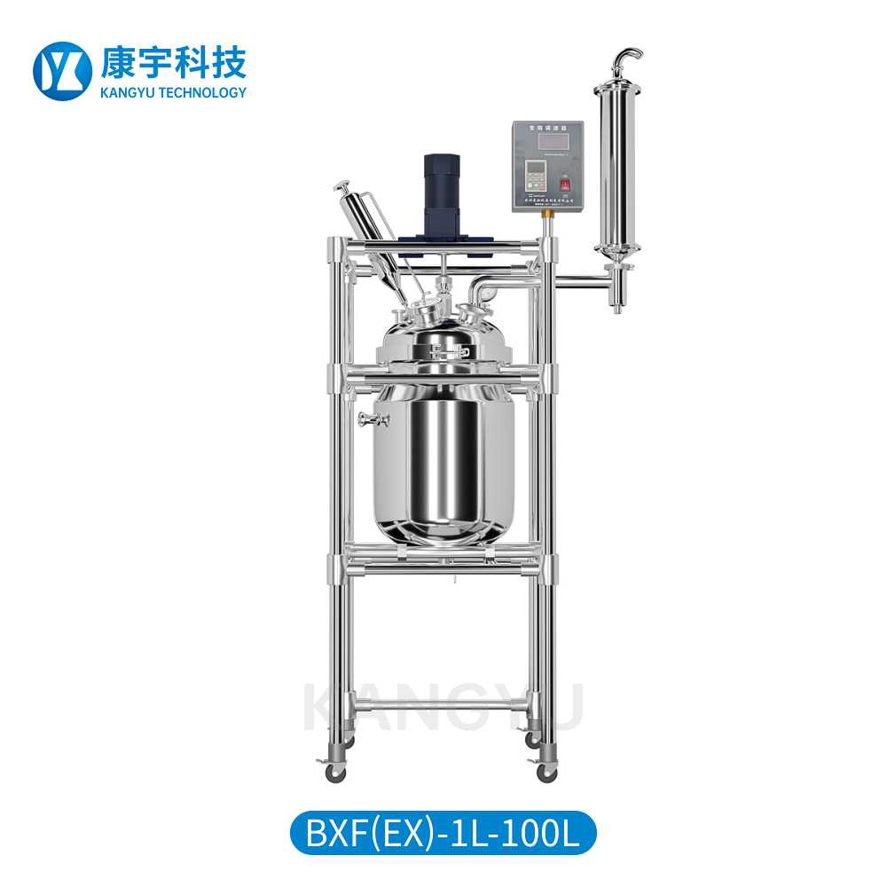 双层不锈钢反应釜 BXF-100L