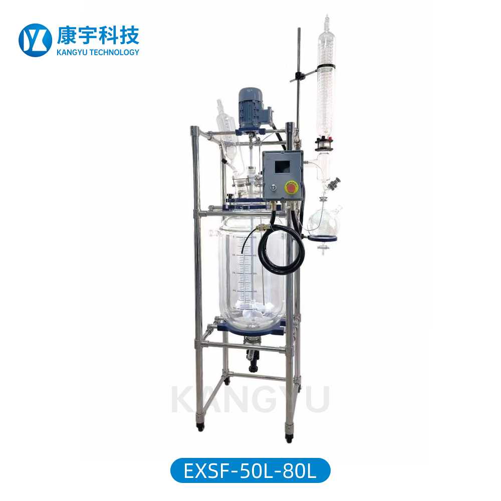 防爆双层玻璃反应釜EXSF-50L